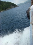 DSC04090.jpg