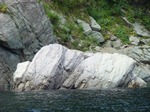 DSC04099.jpg