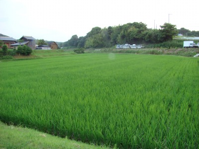 DSC04213.jpg