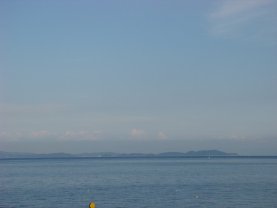 DSC04259.jpg
