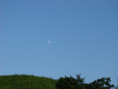 DSC04745.jpg