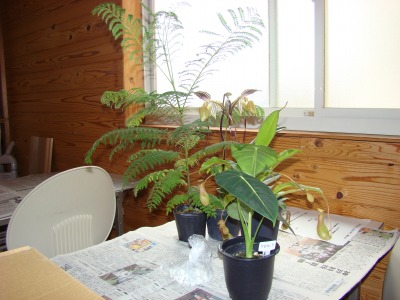DSC04826.jpg