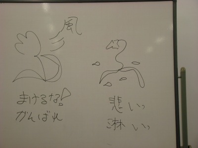 DSC04957.jpg