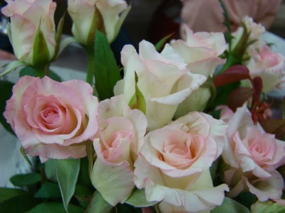 DSC05408.jpg