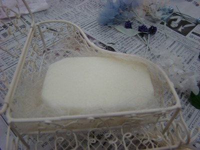 DSC05418.jpg