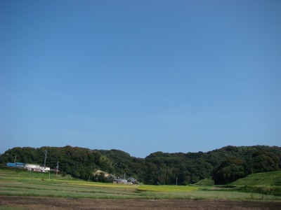DSC07258.jpg