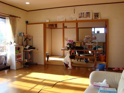 DSC09960.jpg