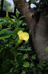DSC20090704 (20).jpg