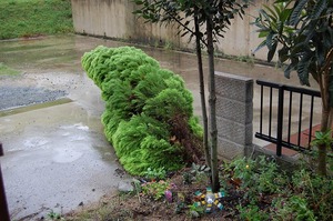DSC20091008.jpg