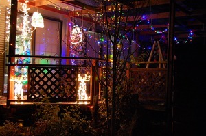 DSC20091205 (102).jpg