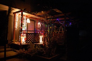 DSC20091205 (109).jpg