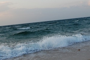 DSC20091205 (38)-1.jpg