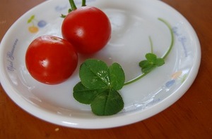 DSC2009707 (37).jpg