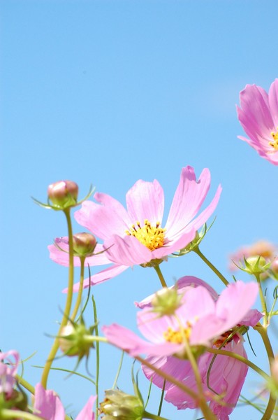 DSC20121002 (1)_R.JPG