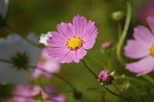 DSC20121002 (15)_R.JPG