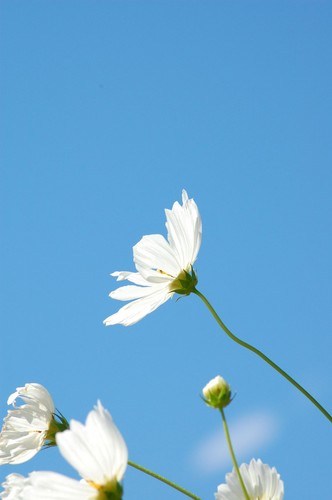 DSC20121002 (7)_R.JPG