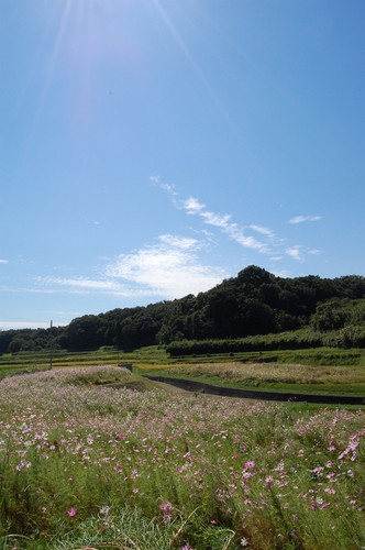 DSC20121002 (74)_R.JPG