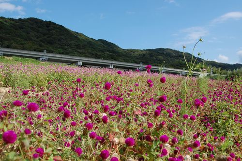 DSC20121007 (28)_R.JPG