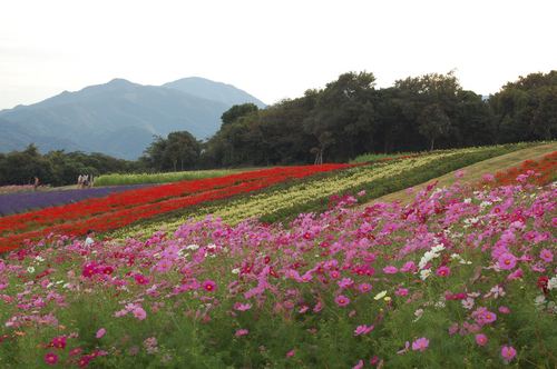 DSC20121013 (102)_R.JPG