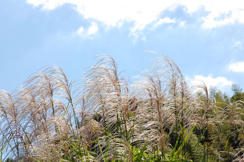 DSC20121013 (24)_R.JPG
