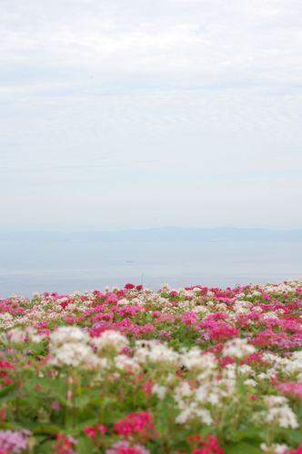 DSC20121013 (62)_R.JPG