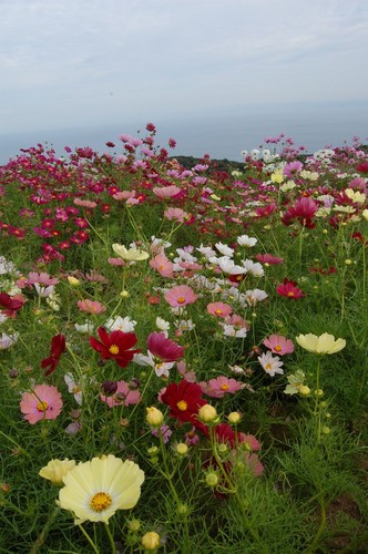 DSC20121013 (88)_R.JPG