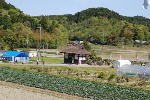 DSC20130508 (69)_R.JPG