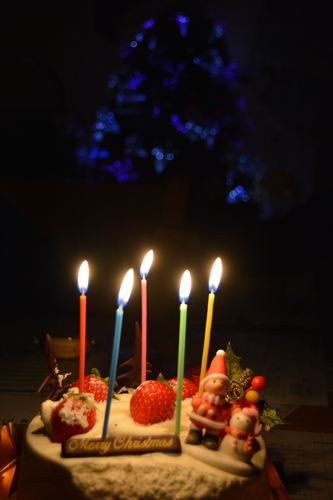 DSC20131225 (8)_R.JPG