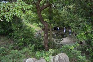 DSC20140813 (108)_R.JPG