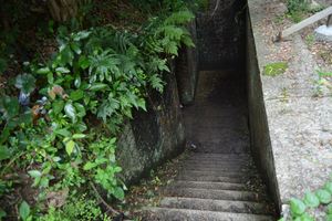 DSC20140813 (112)_R.JPG