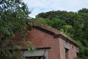 DSC20140813 (150)_R.JPG