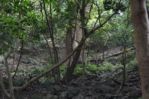DSC20140813 (156)_R.JPG