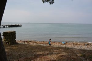 DSC20140813 (159)_R.JPG