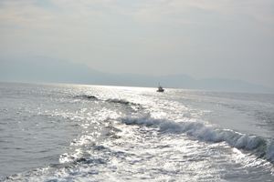 DSC20140813 (215)_R.JPG