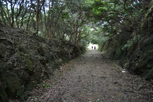 DSC20140813 (61)_R.JPG