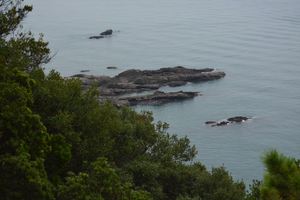 DSC20140813 (88)_R.JPG
