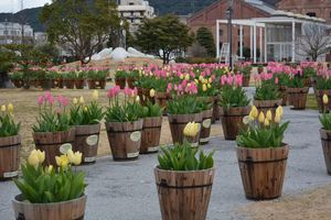 DSC20150203 (1)_R.JPG
