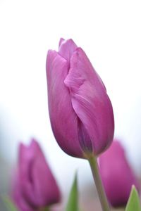 DSC20150203 (24)_R.JPG