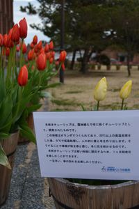 DSC20150203 (3)_R.JPG
