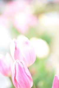 DSC20150203 (49)_R.JPG