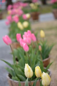DSC20150203 (56)_R.JPG