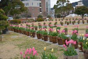 DSC20150203 (59)_R.JPG