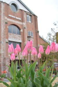 DSC20150203 (63)_R.JPG