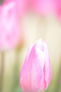 DSC20150203 (9)_R.JPG