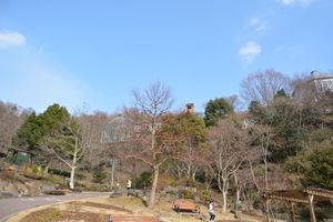 DSC20150211 (135)_R.JPG