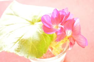 DSC20150211 (30)_R.JPG