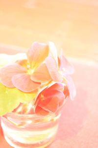 DSC20150211 (34)_R.JPG
