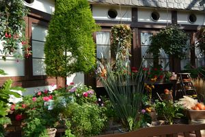 DSC20150211 (9)_R.JPG