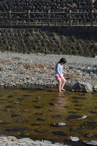 DSC20150331 (85)-1_R.jpg