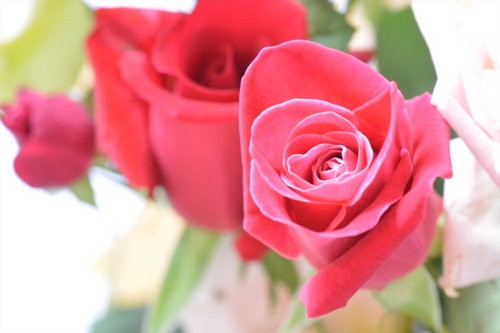 DSC20150506. (71)_r.JPG